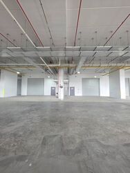 Ct Foodnex (D25), Factory #498192291